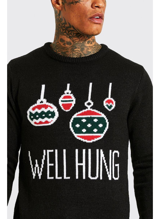 Різдвяний джемпер Well Hung